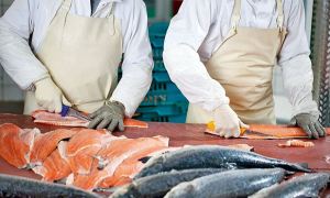 Крупнейший рыбоперерабатывающий завод в России отправил сотрудников в простой