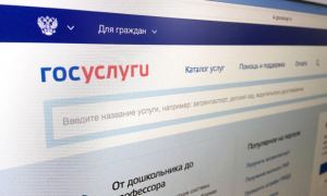 В Челябинске на праймериз «Единой России» использовали около тысячи взломанных аккаунтов на «Госуслугах»
