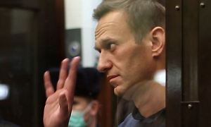 Адвокат сообщила об обнаружении у Алексея Навального двух грыж и протрузии