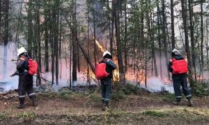 В МЧС назвали причиной лесных пожаров в Якутии человеческую безответственность