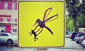 «Злые» комары сменили «боевых» уток
