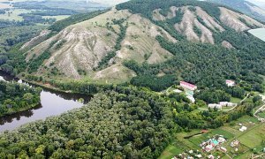 «Гринпис» потребовал от генпрокуратуры остановить вырубку леса на уникальной горе в Башкирии