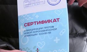 В Калининграде против медработницы возбудили дело за выдачу сертификатов о вакцинации без прививки