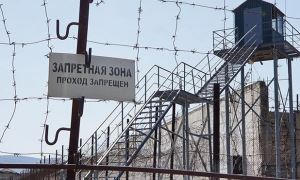 Родственники осужденных из Ульяновской области сообщили о пытках в местных колониях