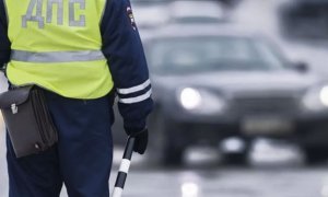 Замглавы пензенского правительства проверят из-за потасовки с сотрудниками ГИБДД