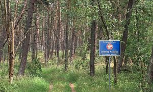 Власти Польши приняли окончательное решение о строительстве забора на границе с Белоруссией