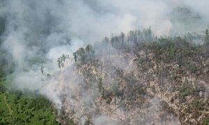 Рослесхоз оценил ущерб от лесных пожаров в Сибири в 7 млрд рублей