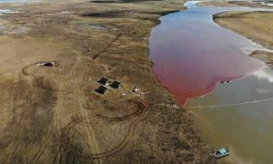 Ущерб от разлива топлива в почву и водоемы в Норильске оценили в 100 млрд рублей