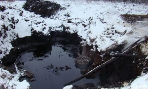 Суд взыскал с «Лукойл-Коми» 6 млн рублей за разлив нефти под Ухтой в 2019 году