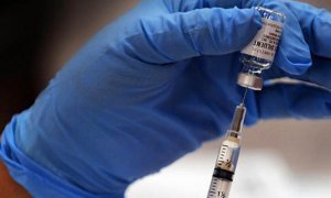 Московские больницы из-за срыва госзакупок остались без вакцин от бешенства