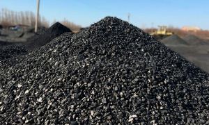 Евросоюз отложил введение запрета на поставки российского угля в рамках санкций