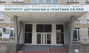 СКР начал проверку по факту низких зарплат ученым в Новосибирской области