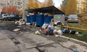 Россияне массово жалуются в ФАС на повышение тарифов на вывоз мусора