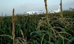 В результате жесткой посадки самолета «Уральских авиалиний» в кукурузном поле пострадали 15 человек