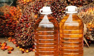 Евразийский союз предложил России ограничить использование «грязного» пальмового масла