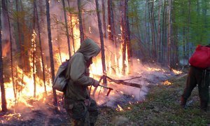 Власти Якутии ввели в регионе режим ЧС из-за лесных пожаров