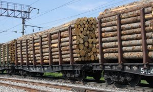 Минприроды России пригрозило Китаю приостановкой экспорта леса