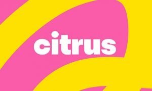 S7 назовет свой лоукостер Citrus. Компания будет летать на розовых самолетах