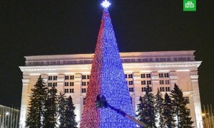 Мэр Кемерово назвал новогоднюю елку за 18 млн рублей «средней ценовой категорией»
