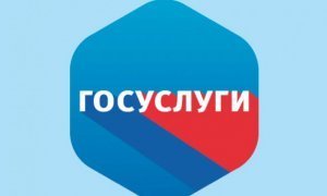 На официальном портале «Госуслуги» обнаружили агитацию в поддержку поправок в Конституцию