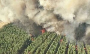В Ростовской области из-за лесных пожаров ввели режим чрезвычайной ситуации