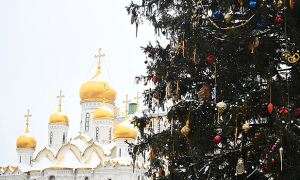 Главная новогодняя елка страны на Соборной площади обойдется бюджету в 7,9 млн рублей