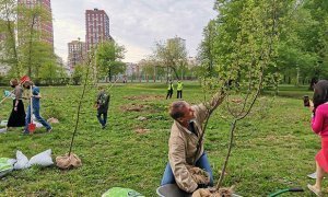 В Екатеринбурге эко-активисты высадили деревья вместо вырубленных, а их обвинили в экологическом экстремизме