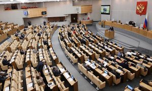 Депутаты Госдумы до Нового года планируют возобновить поездки за границу