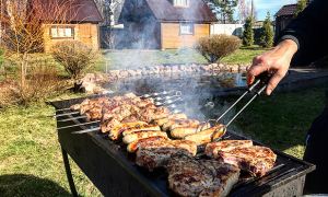 Жителям Подмосковья запретят ходить в лес и жарить шашлыки