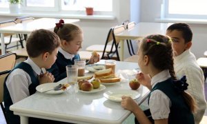 Владимир Путин поручил Роспотребнадзору и полпредам проверить качество школьного питания