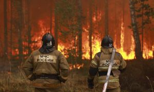 В Сибири и Дальнем Востоке горят леса, площадь пожаров приближается к 1 млн гектаров