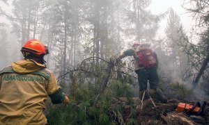 Рослесхоз увеличил группировку сил ФБУ «Авиалесоохрана» для тушения лесных пожаров в Курганской области