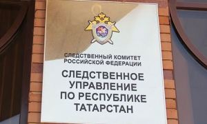 СКР по Татарстану возбудил дело о призывах к массовым беспорядкам из-за анонса акции 23 января