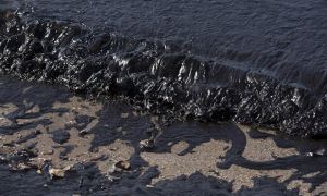 СКР ужесточил статью по делу о разливе нефти в Черном море в районе Новороссийска