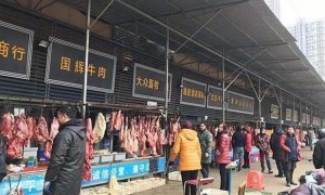 В Китае снова открылись рынки с летучими мышами, которые стали разносчиками коронавируса