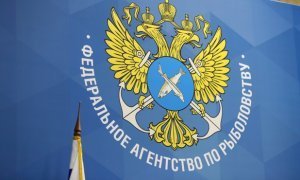 Счетная палата оценила нарушения в работе Росрыболовства в 250 млн рублей