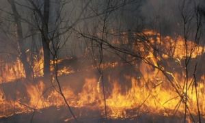 Дым от масштабных лесных пожаров в Якутии достиг Аляски