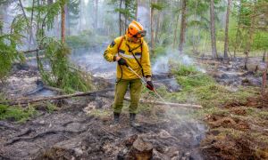 В Хабаровском крае ввели режим ЧС из-за лесных пожаров