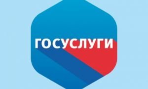 Правительство предложило создавать россиянам аккаунт на «Госуслугах» с рождения