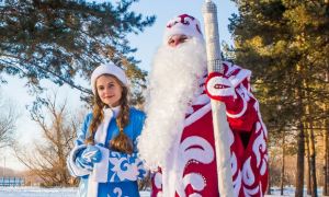 Депутат Милонов попросил подготовить антиковидные меры для Деда Мороза