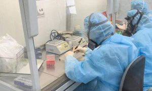 ВОЗ рекомендовала украинским лабораториям уничтожить особо опасные патогены во избежание эпидемий