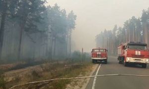 В Марий Эл лесные пожары угрожают населенным пунктам. Более 600 человек эвакуированы