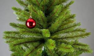 Искусственные новогодние елки в России подорожали на 30%