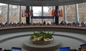 Комитет министров Совета Европы заявил о неисполнении Россией решения ЕСПЧ по «делу Ив Роше»