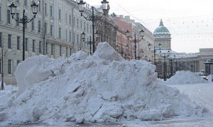 ФАС выявила картельный сговор на рынке уборки и вывоза снега в Петербурге