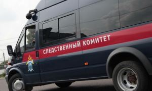 В Подмосковье зарезали 17-летнюю дочь замглавы Минстроя региона