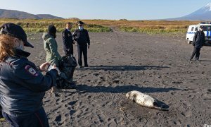 В разливе нефтепродуктов в Авачинском заливе Камчатки заподозрили комерческий танкер