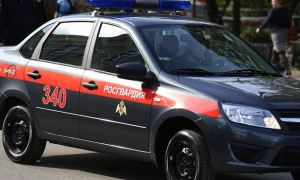 В Брянской области машина Росгвардии сбила двух детей на пешеходном переходе