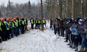 Защитники Троицкого леса пожаловались президенту на мэра Москвы
