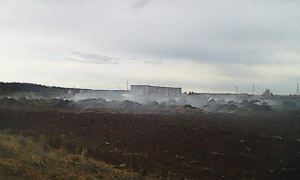 В Пермском крае подростки сожгли ферму ради съемки ролика для TikTok